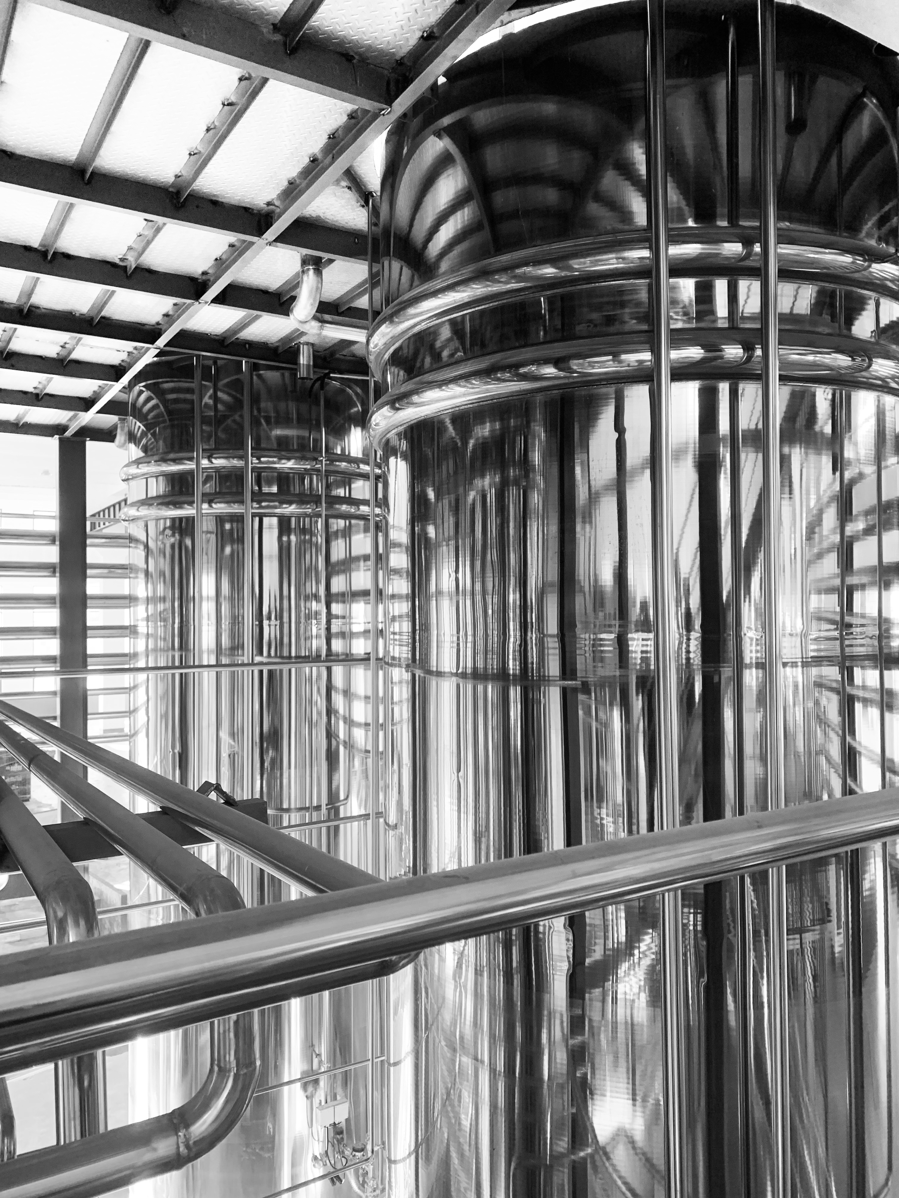 fermentation of biological materials