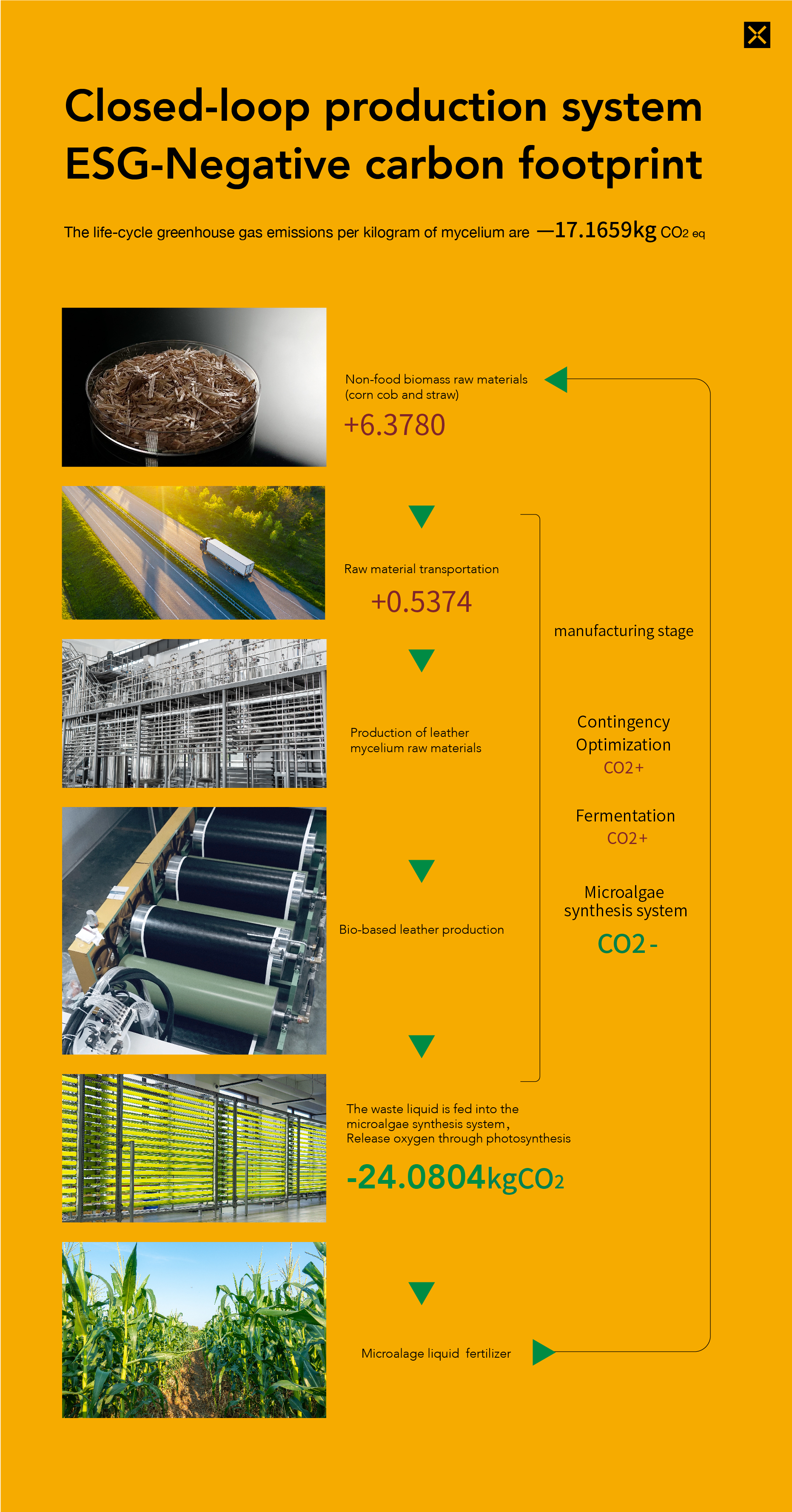 Closed-loop production system: non-food biomass and transport feed mycelium and bio-based leather production; microalgae treatment releases oxygen, captures carbon dioxide and returns liquid fertilizer