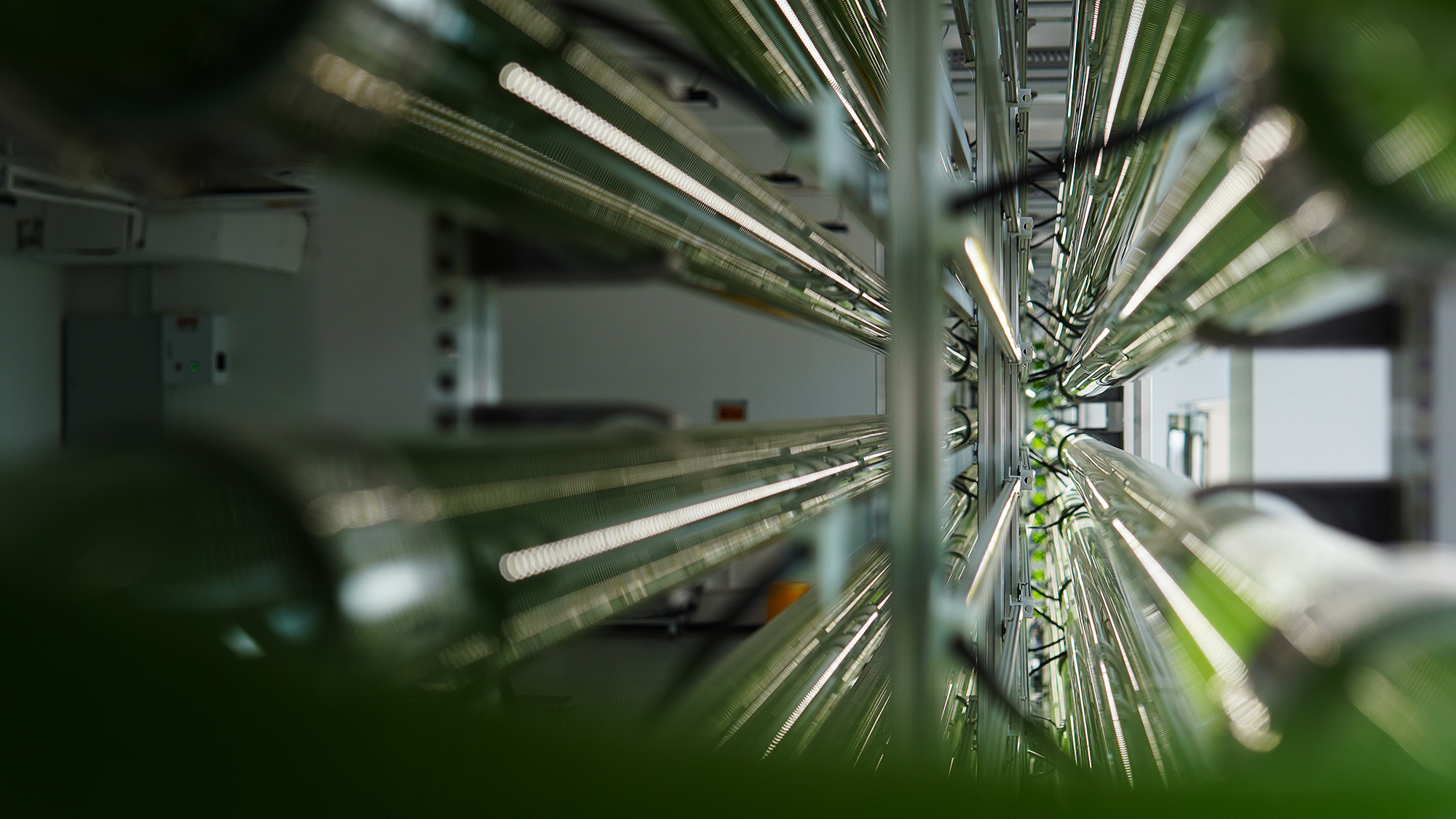 SynMetabio closed-loop microalgae production system